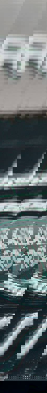 Image related to The TRACE Brief | September 2025